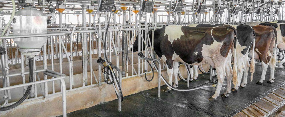 Техника для доения