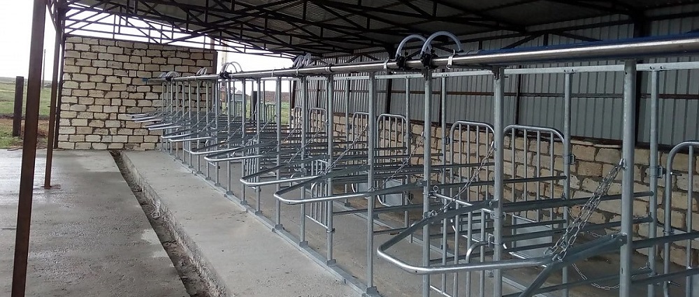 Техника для доения