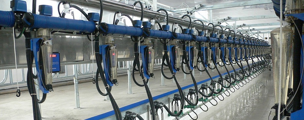 Молокопровод линейного типа