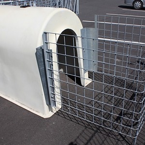 Боксы для телят