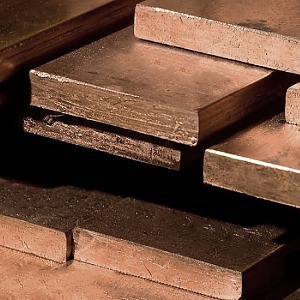 Шина бронзовая