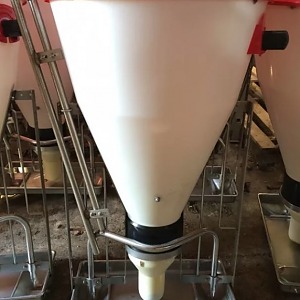 Кормовой автомат смешанного кормления для свиней "КА-40"