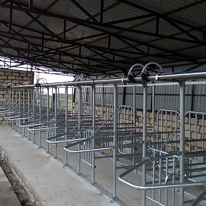 Летняя доильная установка на 6 скотомест