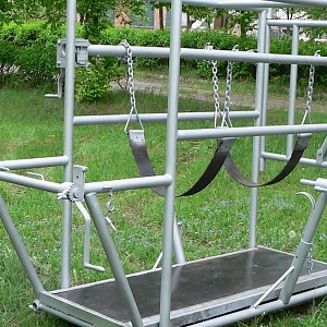 Станок для обработки копыт